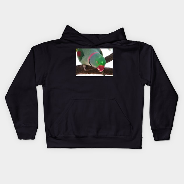 Rose-ringed Parakeet Kids Hoodie by Steves-Pics